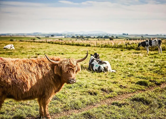 Holiday park Lyons Manor House Maryport